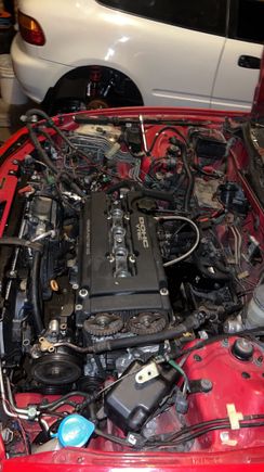 I’m basically done with the wiring and the hoses this Picture might not show it but it’s not the most recent