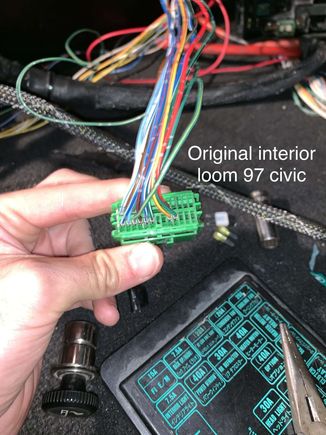 What we have noticed is that the green 20/22 pin connector has way more pins than the rywire loom it connects to.