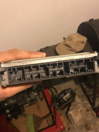 What needs to go in (p72)