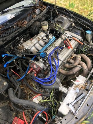 Here’s some non VTEC gold for you guys. B20 itr super techs Pistons, arp rods, 84mm,  p8r head ported, welded combustion chamber 13.2:1, full valve train, crower 405 cams, arp head studs, skunk ultra street intake fully ported,  74mm Tb, 1320 header with megaphone, and the icing on the cake is the built auto trans with Kevlar TCI clutch’s  this is in a dc2 shell as you can tell she’s been sitting in the weeds getting it going next month. Made 202whp on stock cams on E