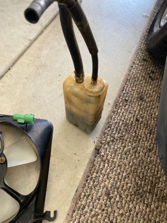 Full of shit and nasty on the outside