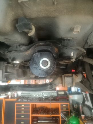 Castor increasing front LCA rear bushing