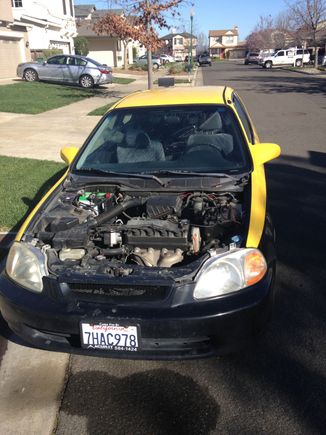 Maaco's going to paint a new hood.
