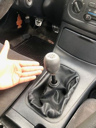 how is someone ok with this shit?