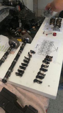 All organised at the table using drawings