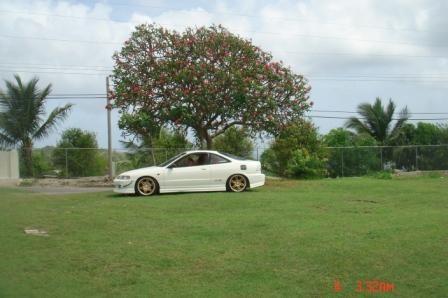 Photo op, loved the tree in the background