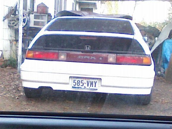 rex9869