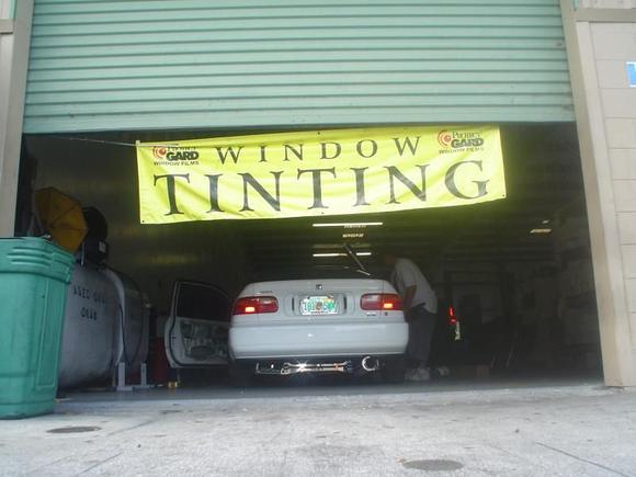 WINDOW TINT