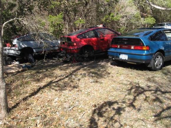 The grave yard :(