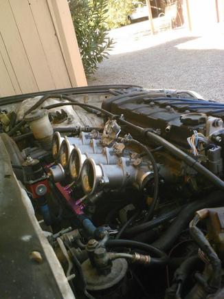 crx1