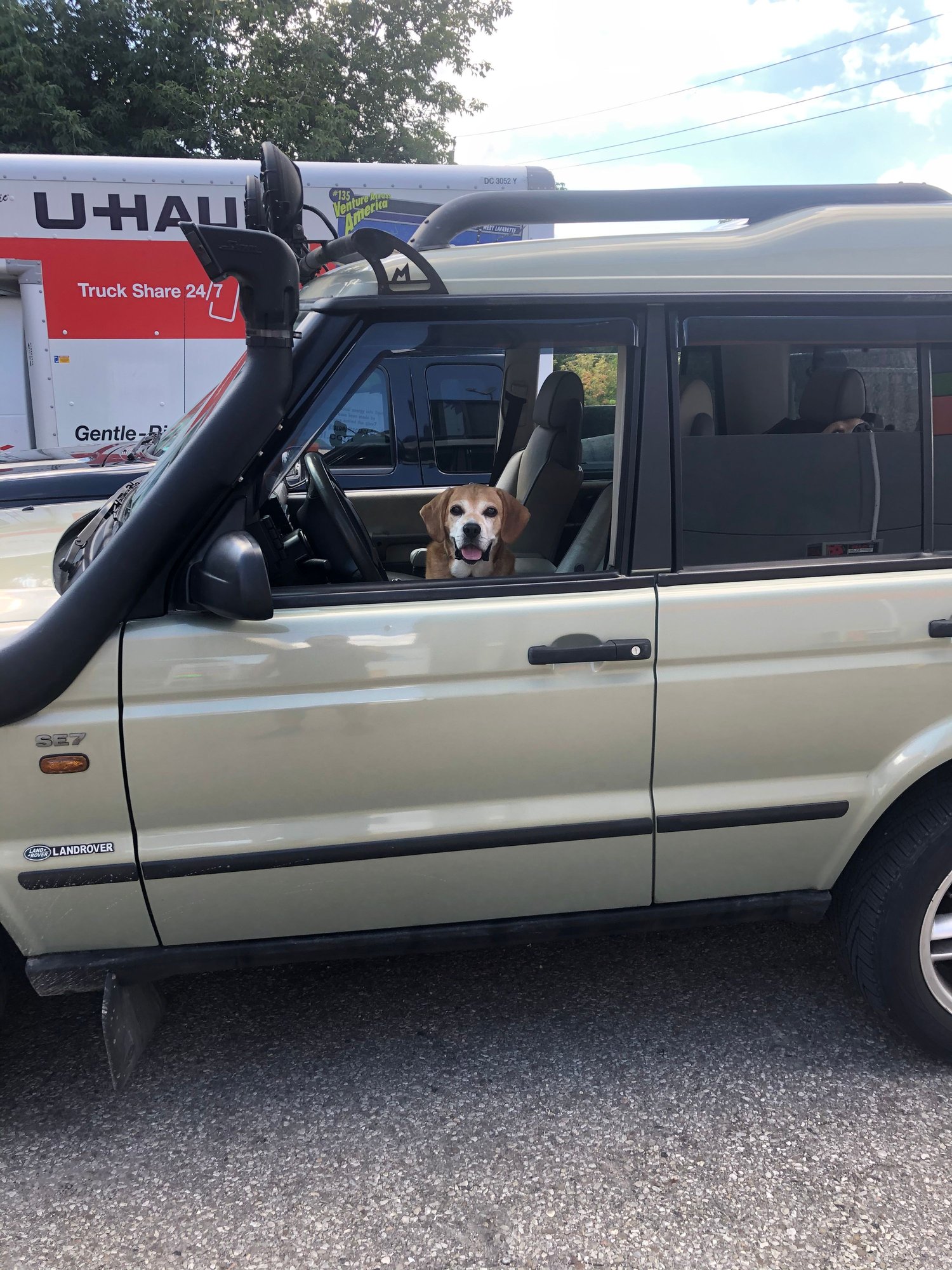 2004 Land Rover Discovery - 2004 discovery - Used - VIN SALTW19404A842448 - 71,000 Miles - 8 cyl - 4WD - Automatic - SUV - Other - Cambridge, ON N1R7J7, Canada