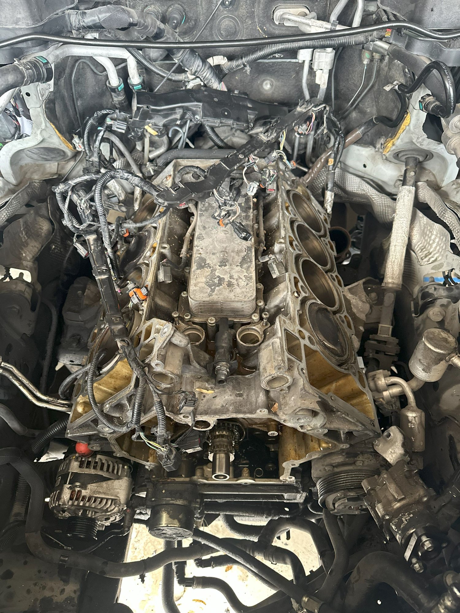 New Head gaskets are about to go on