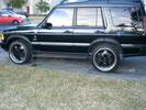 BLACK STALLION