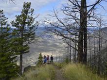 A nice little walk out with a bench, must be a favourite spot of one of the ranchers