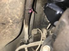 That wire below and to the right of the pink grease.  The one closest
