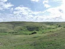 RoveringThe Sandhills WithAmyJune2014 507 (1800x685)