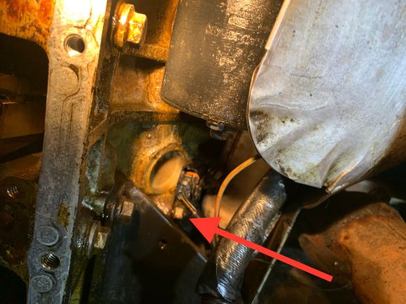 Square head bolt that will allow coolant to drain from block? Also, what’s that sensor? I’ll clean it. 