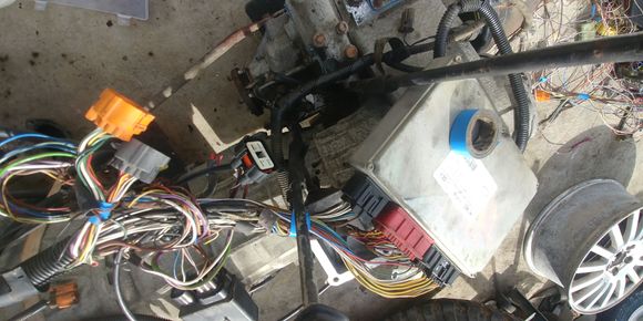 Starting from the left and moving to the right the orange plug, the gray plug, and the black\white plug all plug into the main harness. The engine harness ECU there on the right