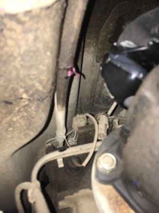 That wire below and to the right of the pink grease.  The one closest
