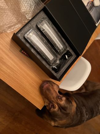 Bloodhound-approved, apparently