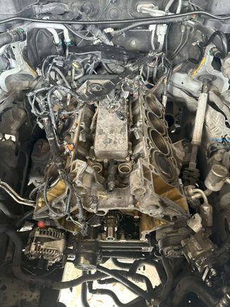 New Head gaskets are about to go on