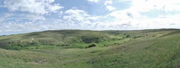 RoveringThe Sandhills WithAmyJune2014 507 (1800x685)