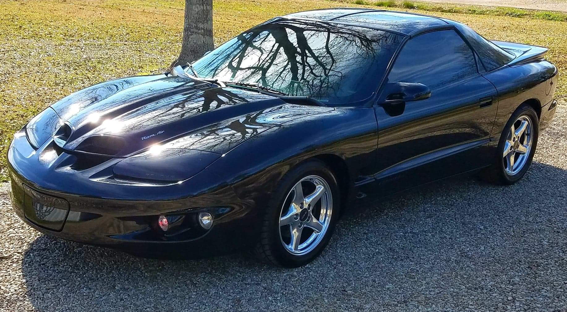 1998 Pontiac Firebird - 98 WS6 Formula 6.0/4L80e/12 bolt - Used - VIN 1D7KU28D74J174508 - 130,000 Miles - 8 cyl - 2WD - Automatic - Coupe - Black - Zachary, LA 70777, United States