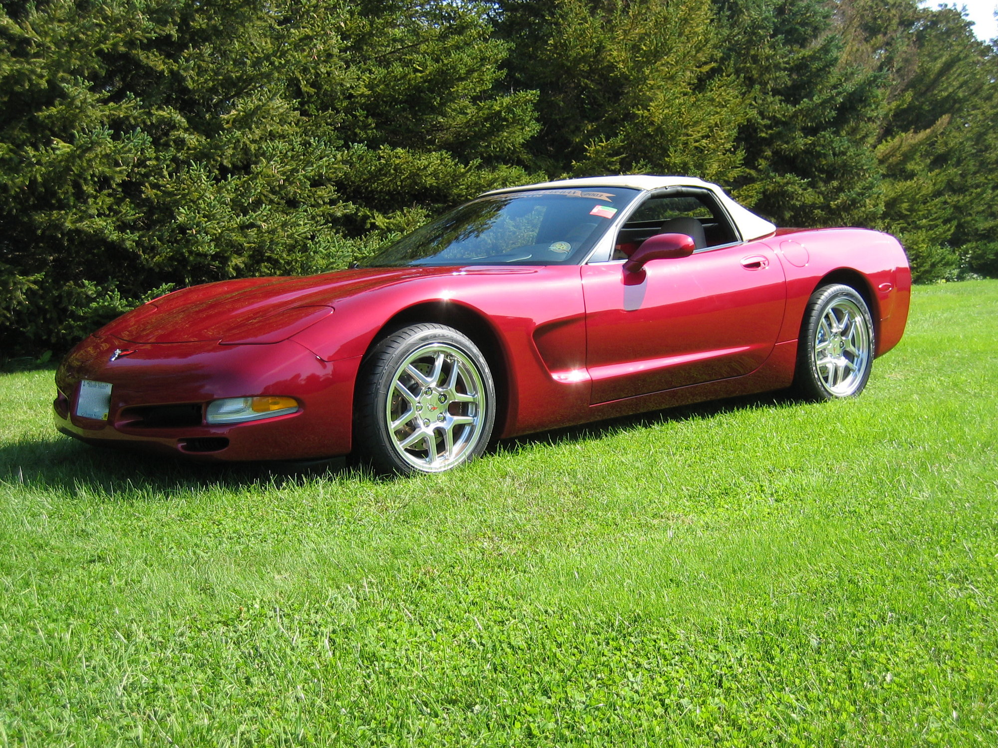 2002 Modified Corvette Convertible LS1TECH Camaro and Firebird