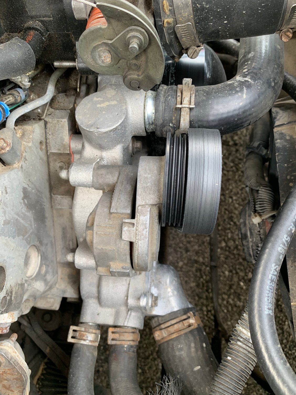 Serpentine Belt LS1TECH Camaro and Firebird Forum Discussion