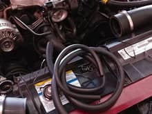 New hoses and coolant lines just for ease of mind