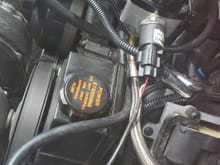 if you have a 98 ls1, they used a 3 prone plug that is exacly like the water temp sensor. If you have the mentioned errors like i did initally, then you might have accidently mixed up the plug. if your any other ls, its a two prong. 