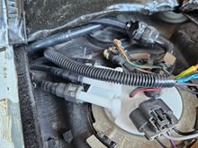 -8 feed coming out of fuel hat.