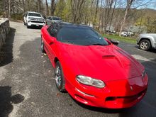 Untitled Album 2025-04-23 10:15:45