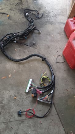 PSI Conversion DBW truck harness (HAR1014)!
Really nice quality made piece.