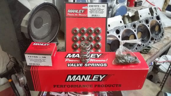 Nextek springs with retainers and locks. Pricey but I like quality parts.