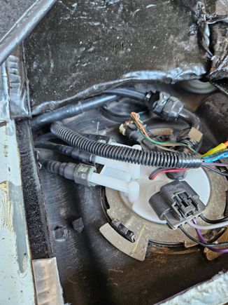 -8 feed coming out of fuel hat.