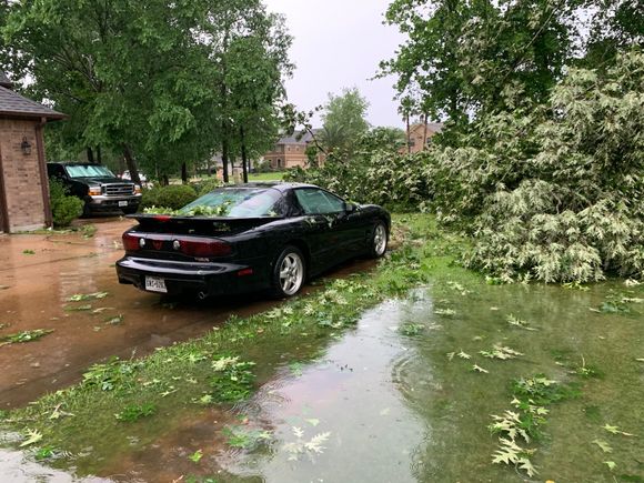 No damage whatsoever to my 2002 Pontiac WS6 Trans Am!
