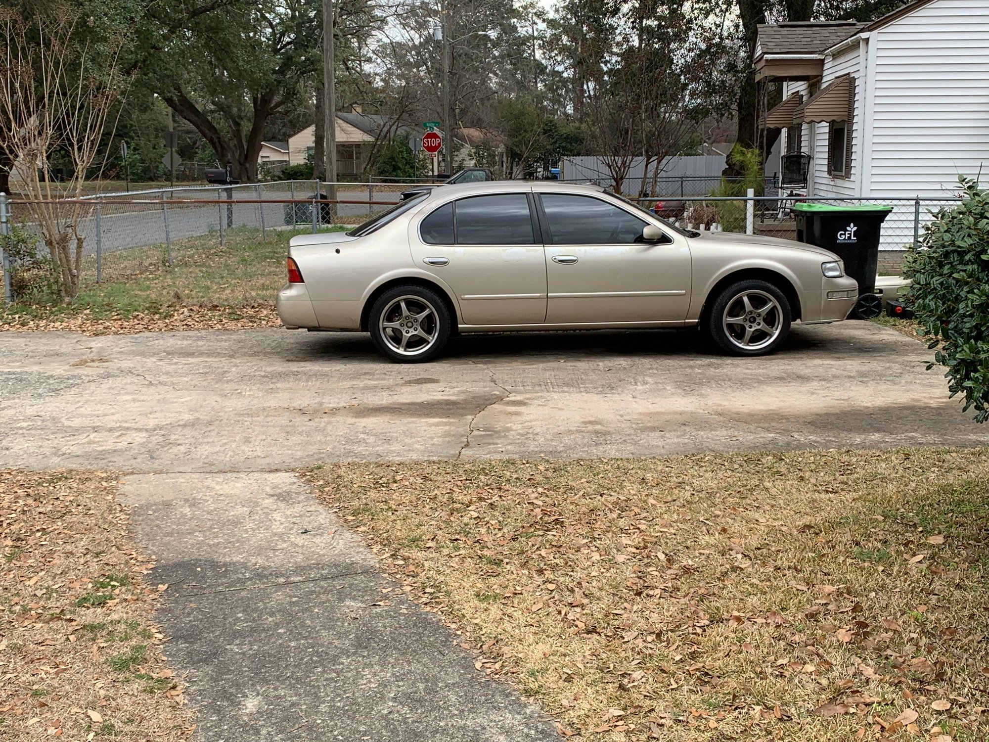 Can�t kill this thing. 