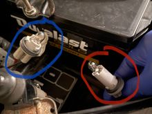 The stock city light housing circled in blue with the ground and power wires which must be spliced into the Cefiro city light housing circled in red.