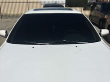 5% tint all around, 44% windshield & 5% visor strip
