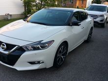 Just washed and cleaned up on 7-17-15