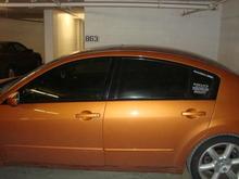 Tint Side View