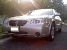 Maxima Sun Low
