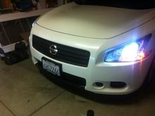 6K HID's
blacked out grill
bottom lip vinyl until i get my lip installed