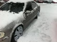 IMG 0744