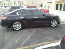 2 days old, fresh tint, no rims yet