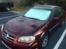 Cold day in Florida panhandle