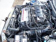 maxima reberth 017