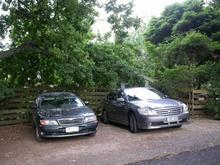 We have two Maxima's in total being my wife's A32 and my own.