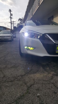 6k hids and 3k fogs.